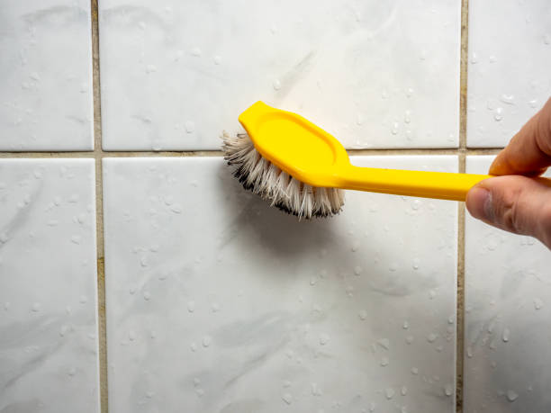 Best Fast Mold Removal  in Garwood, NJ