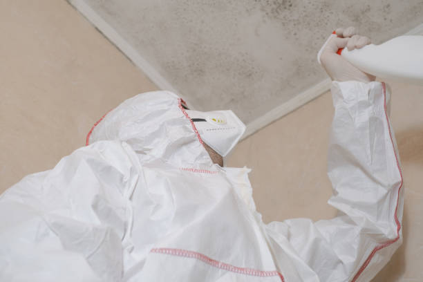 Best Mold Cleaning Services  in Garwood, NJ